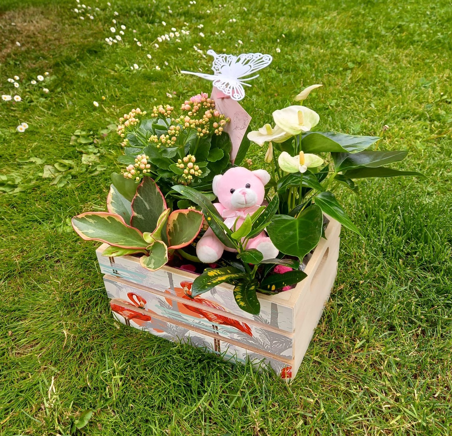 Floristería en Zamora. Envío de flores para regalo o difuntos.